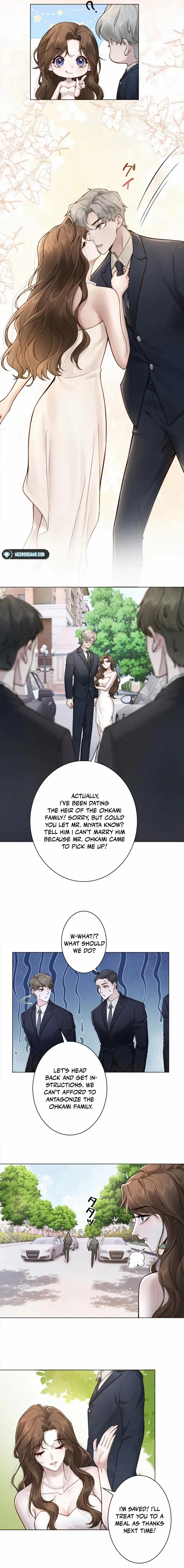A Complicated Marriage With the Wolf Prince chapter 1 page 8