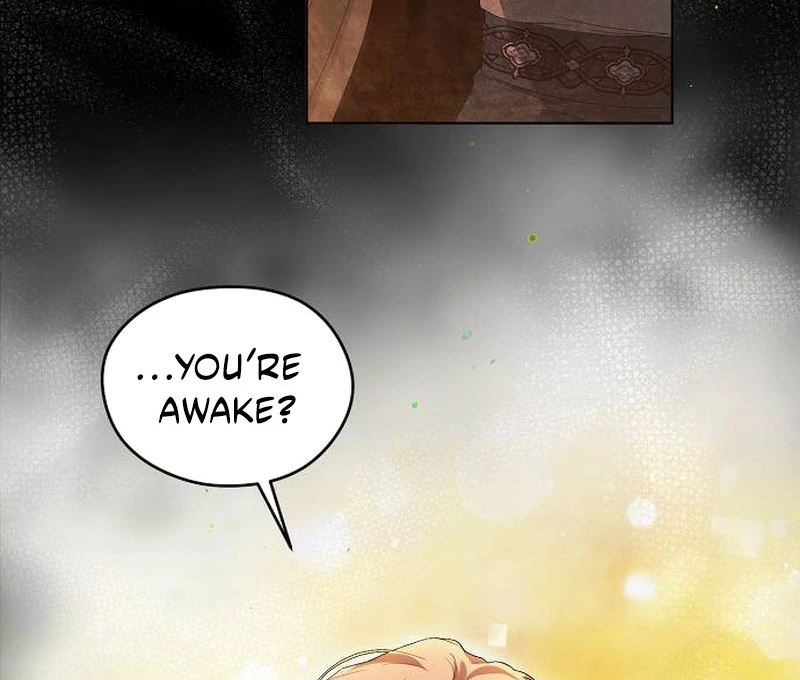 There Are No Benefits for the Possessor chapter 30 page 100
