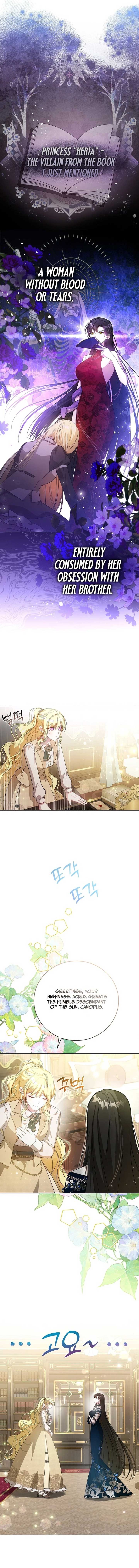 My Sister Is the Main Character chapter 6 page 2