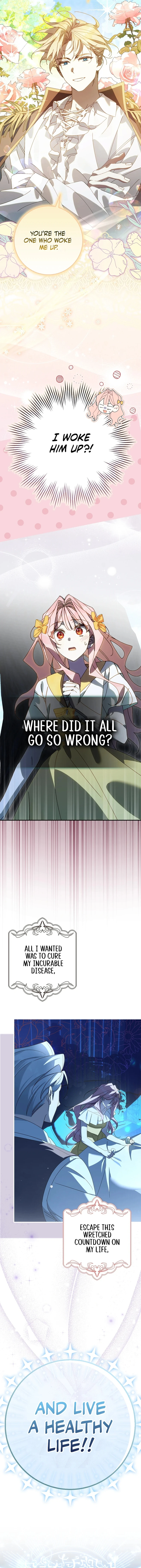 The Perfect Plan to Avoid the Death Ending chapter 0 page 3