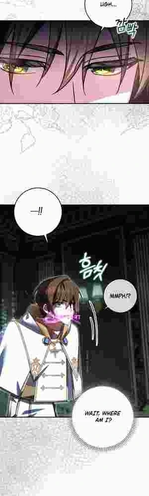 The Perfect Plan to Avoid the Death Ending chapter 10 page 27