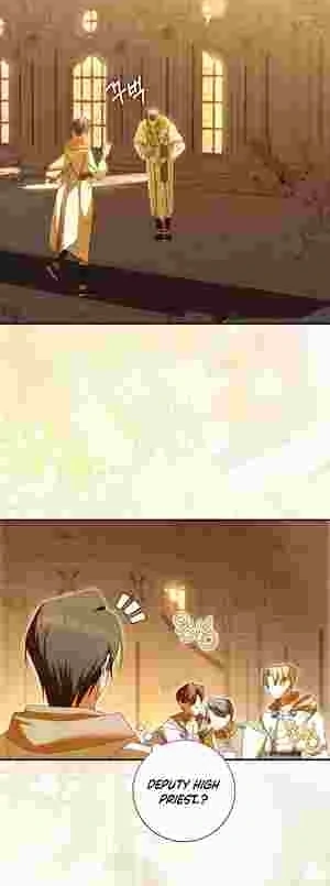 The Perfect Plan to Avoid the Death Ending chapter 11 page 28