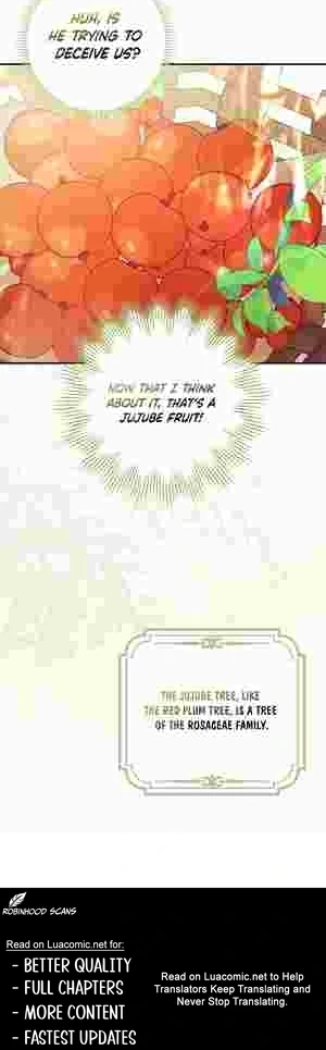 The Perfect Plan to Avoid the Death Ending chapter 14 page 25