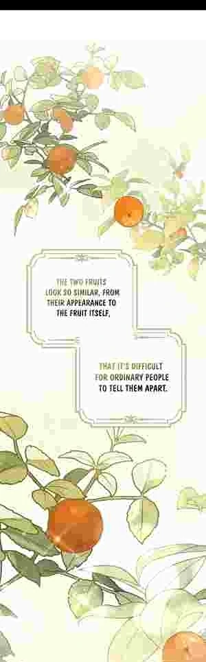 The Perfect Plan to Avoid the Death Ending chapter 14 page 26
