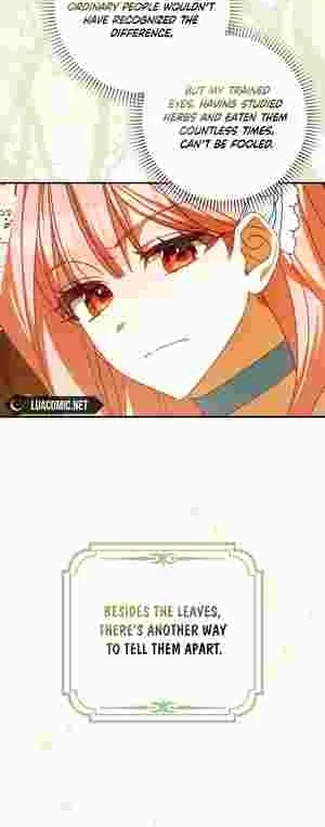 The Perfect Plan to Avoid the Death Ending chapter 14 page 28