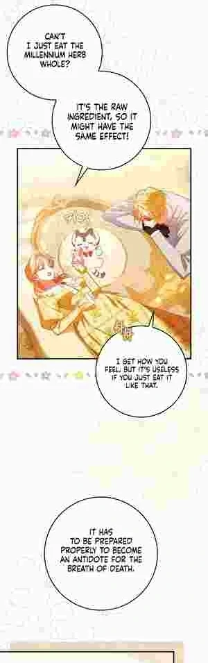 The Perfect Plan to Avoid the Death Ending chapter 17 page 4