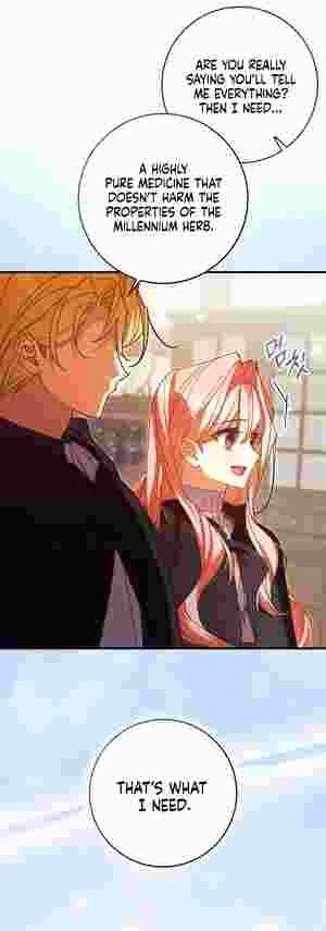 The Perfect Plan to Avoid the Death Ending chapter 17 page 27