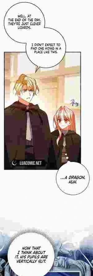 The Perfect Plan to Avoid the Death Ending chapter 17 page 37