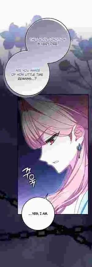 The Perfect Plan to Avoid the Death Ending chapter 20 page 25