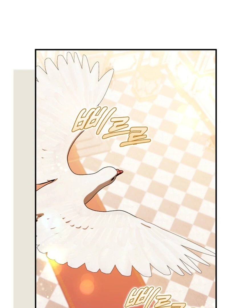 The Perfect Plan to Avoid the Death Ending chapter 40 page 41