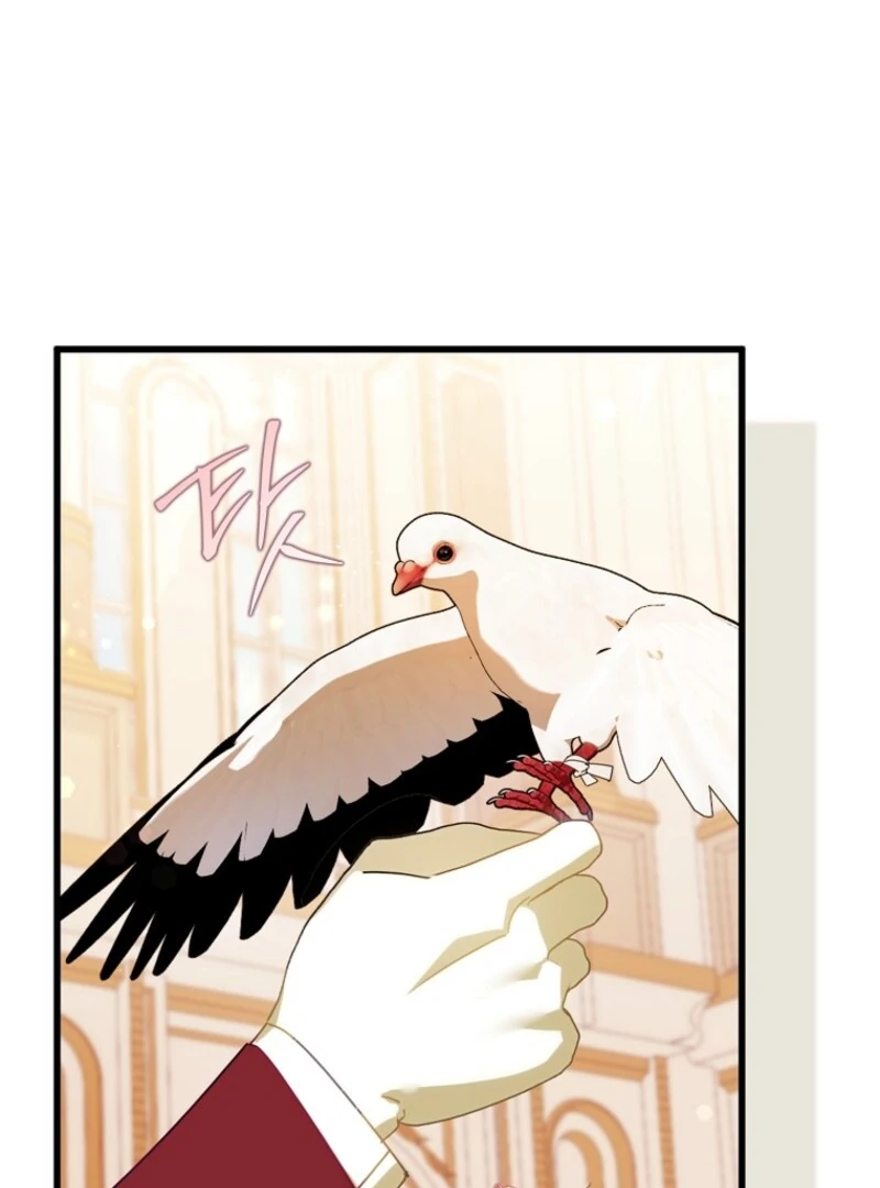 The Perfect Plan to Avoid the Death Ending chapter 40 page 44