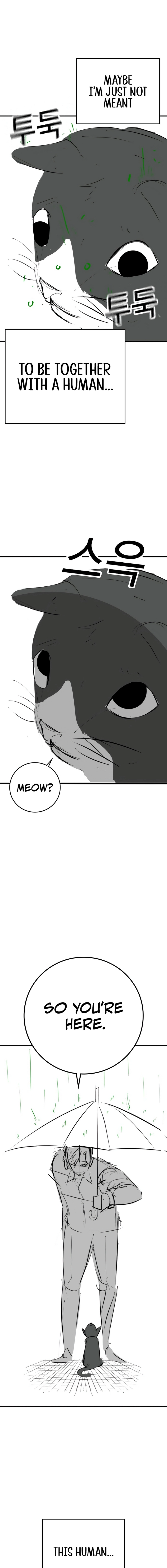 Reality Quest chapter 164.9 page 15