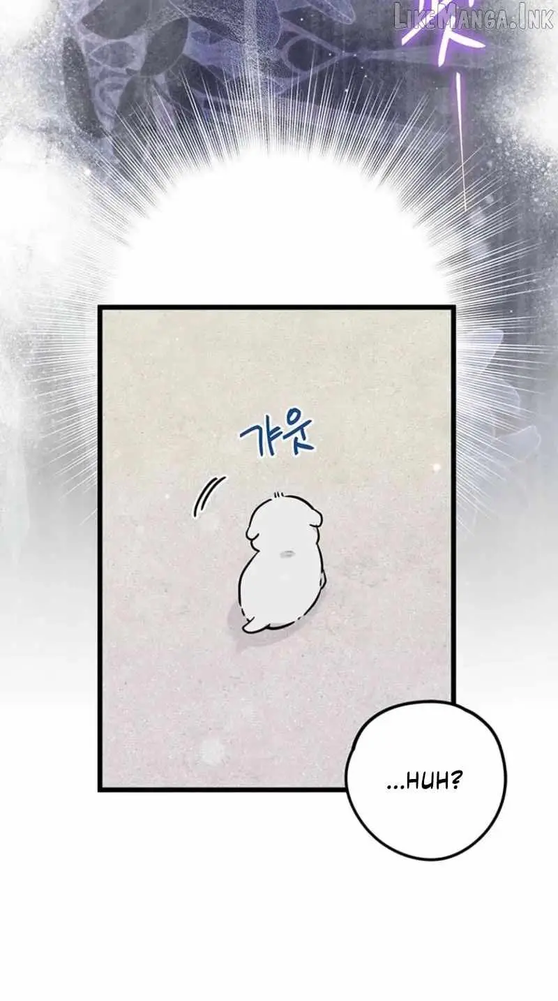 I Debuted as an Exorcist, Not an Idol chapter 39 page 42