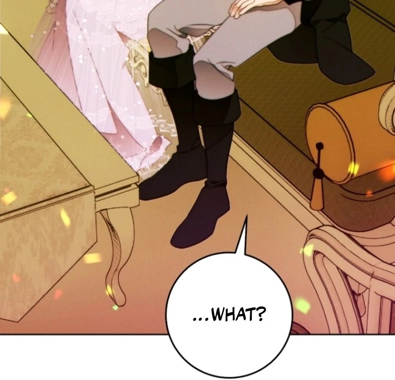 This Marriage Will Surely Succeed chapter 40 page 65