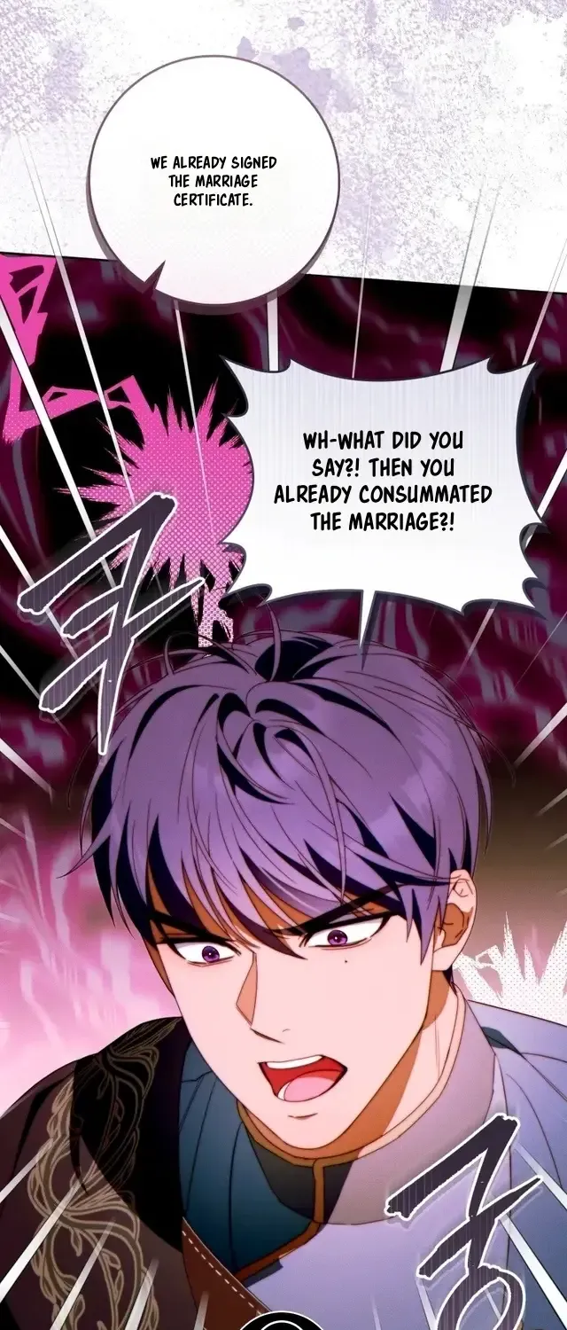 This Marriage Will Surely Succeed chapter 59 page 67
