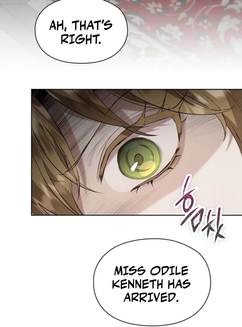 The Extra Decided to Be Fake chapter 40 page 5