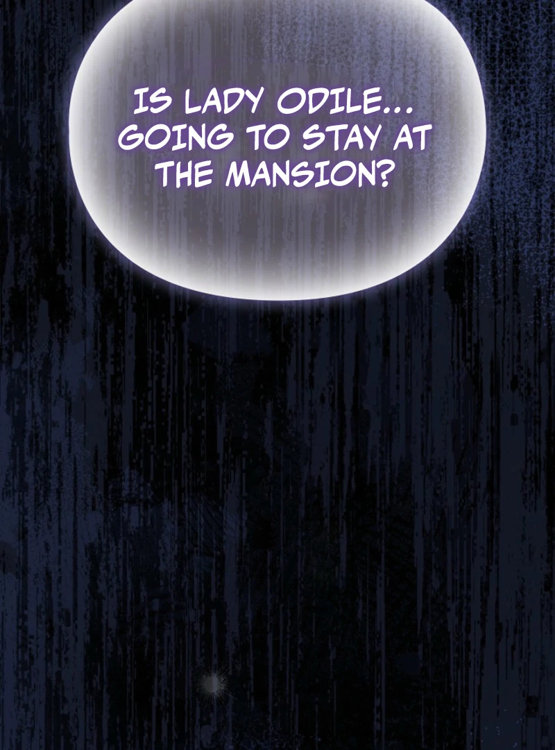 The Extra Decided to Be Fake chapter 40 page 11