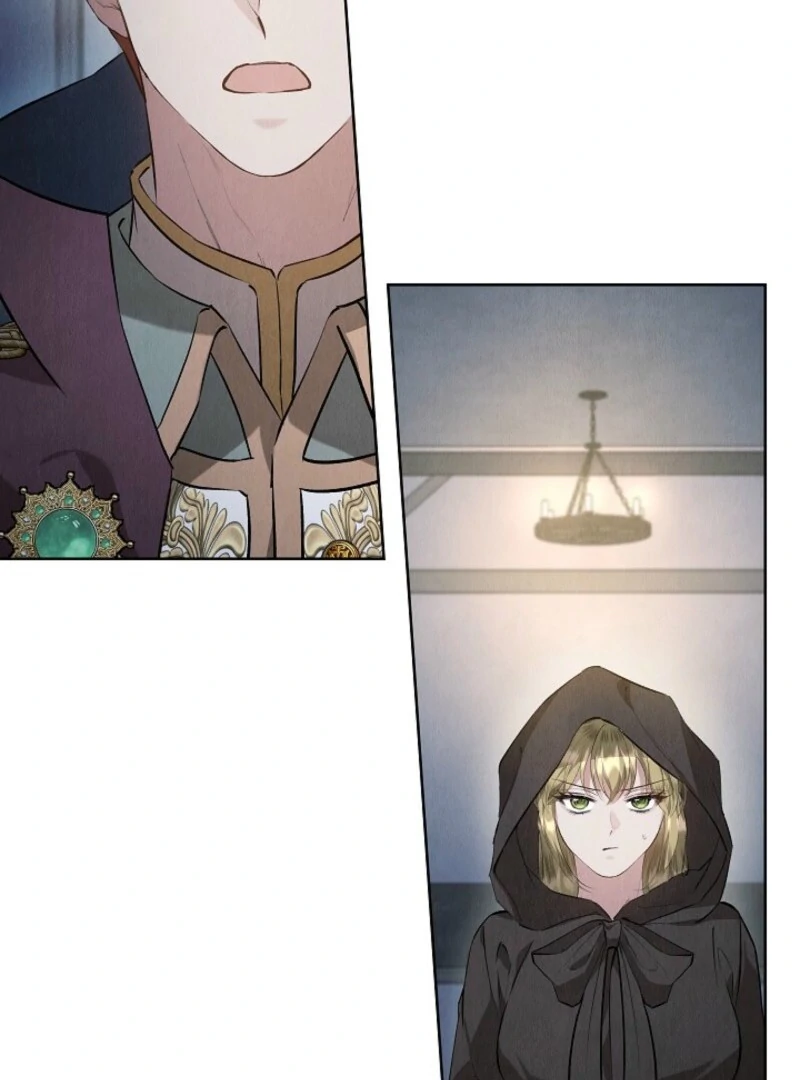 The Extra Decided to Be Fake chapter 47 page 42