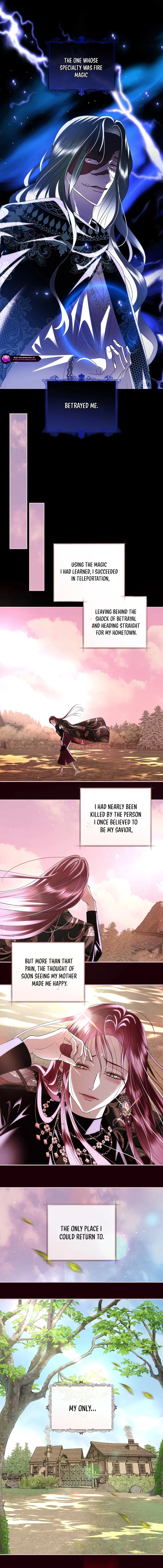 Villain, I’ll Do Everything Except Marriage for You! chapter 33 page 11