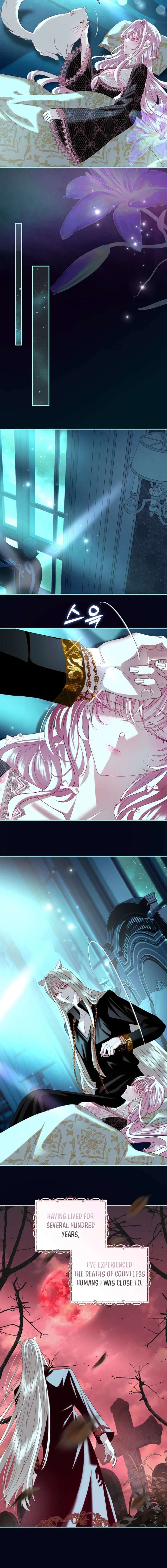 Villain, I’ll Do Everything Except Marriage for You! chapter 53 page 13