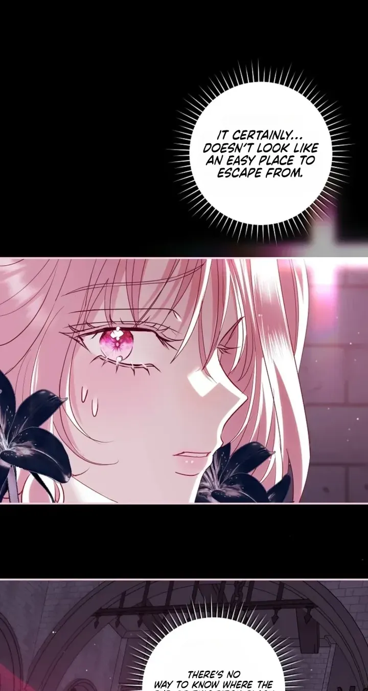 Villain, I’ll Do Everything Except Marriage for You! chapter 73 page 66