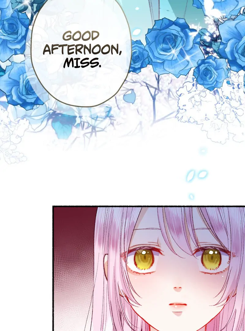 The new mage, Orthria chapter 1 page 47