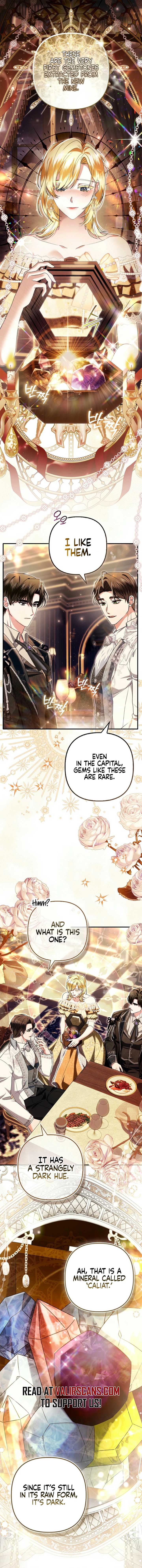 Rejecting The Perfect Marriage chapter 13 page 8