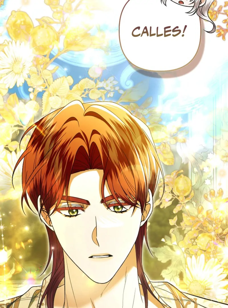 Rejecting The Perfect Marriage chapter 42 page 67