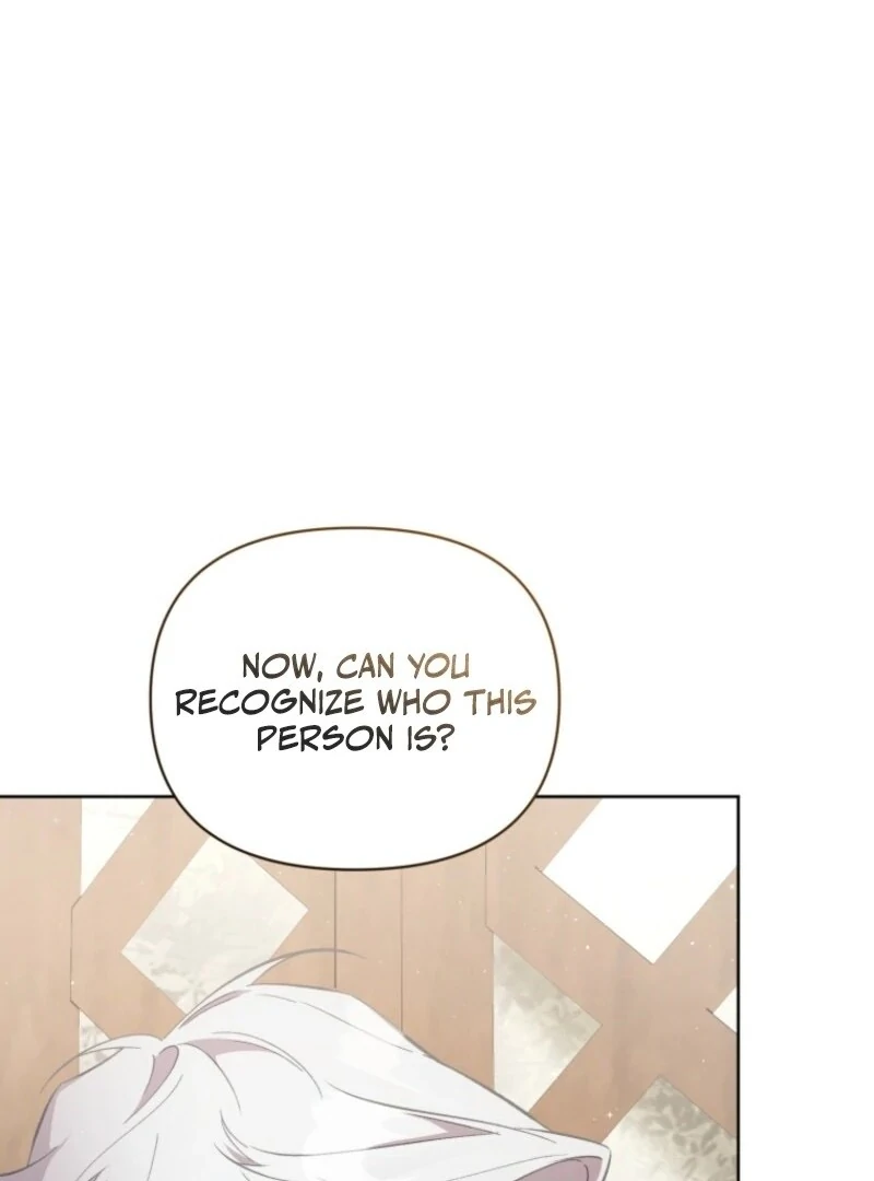 Don’t Worry, We Both Agreed to this Fraudulent Marriage chapter 36 page 152