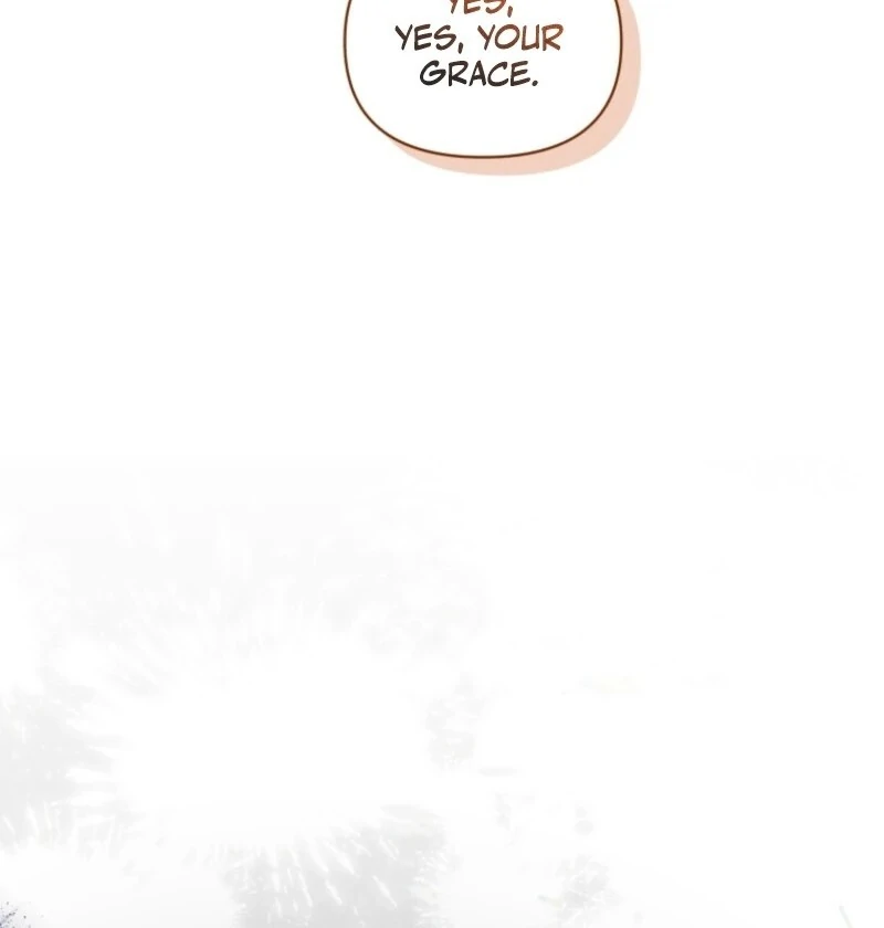 Don’t Worry, We Both Agreed to this Fraudulent Marriage chapter 36 page 91