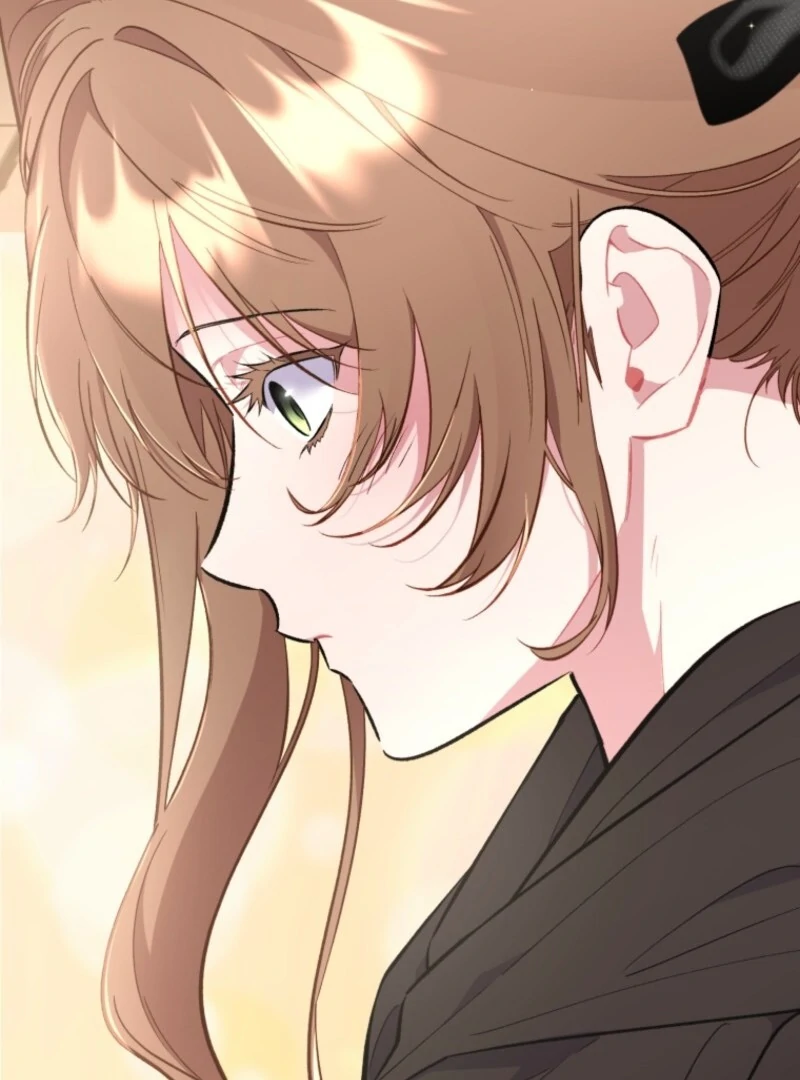 Don’t Worry, We Both Agreed to this Fraudulent Marriage chapter 38 page 11