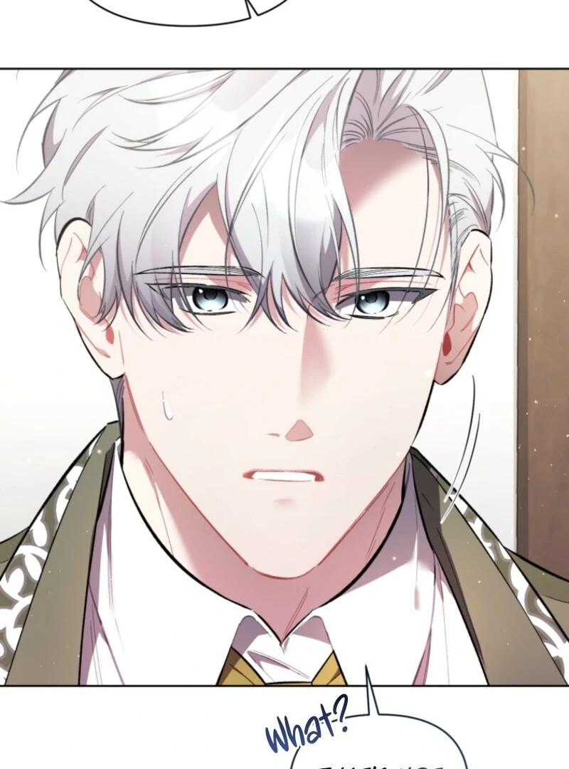 Don’t Worry, We Both Agreed to this Fraudulent Marriage chapter 38 page 51