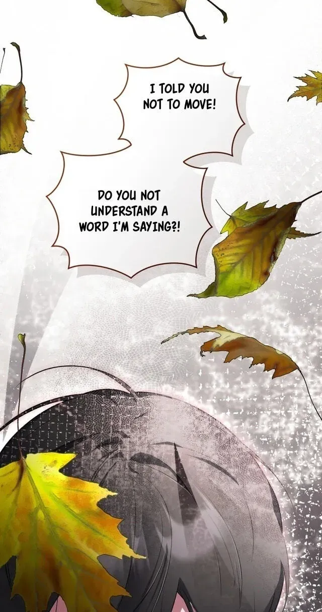 Don’t Worry, We Both Agreed to this Fraudulent Marriage chapter 71 page 21