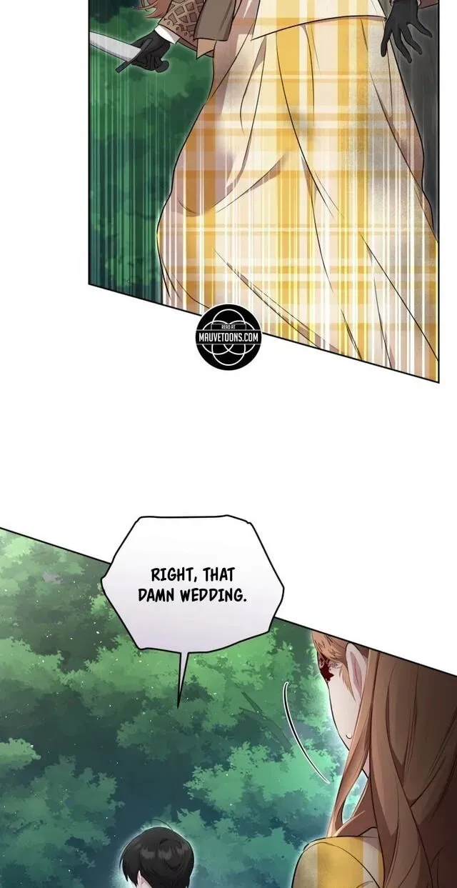 Don’t Worry, We Both Agreed to this Fraudulent Marriage chapter 71 page 26