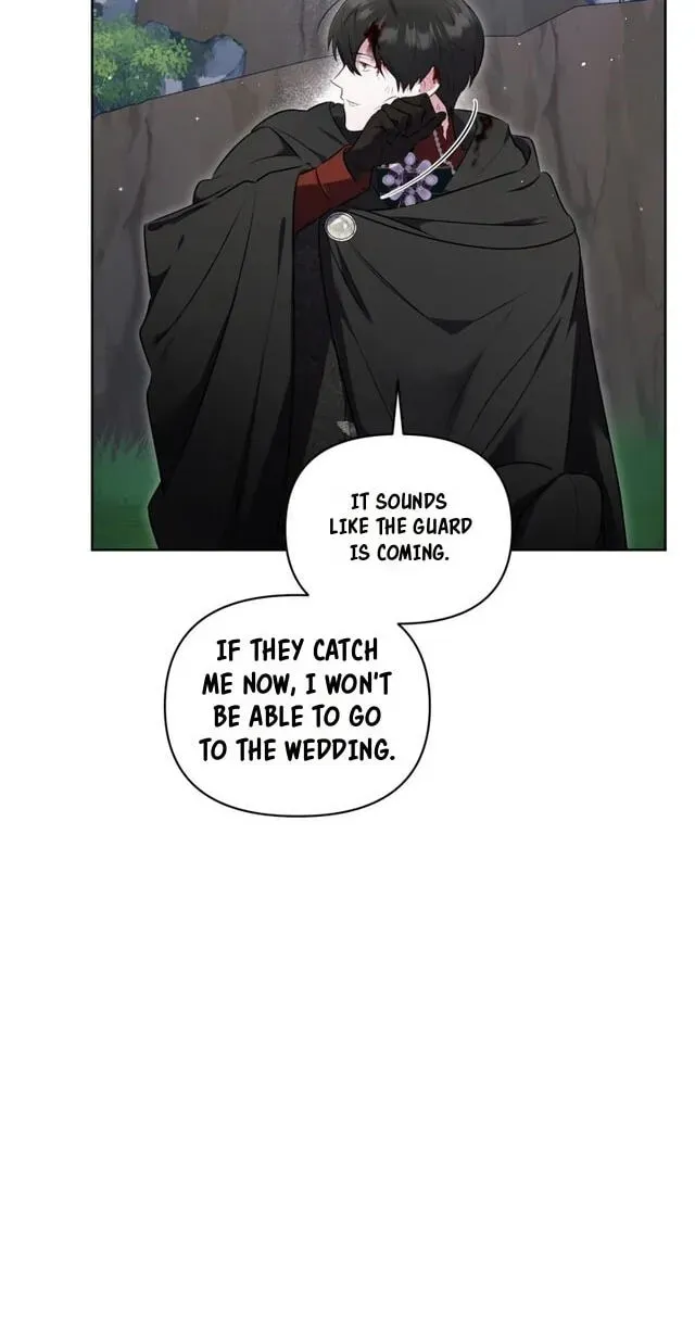 Don’t Worry, We Both Agreed to this Fraudulent Marriage chapter 71 page 74