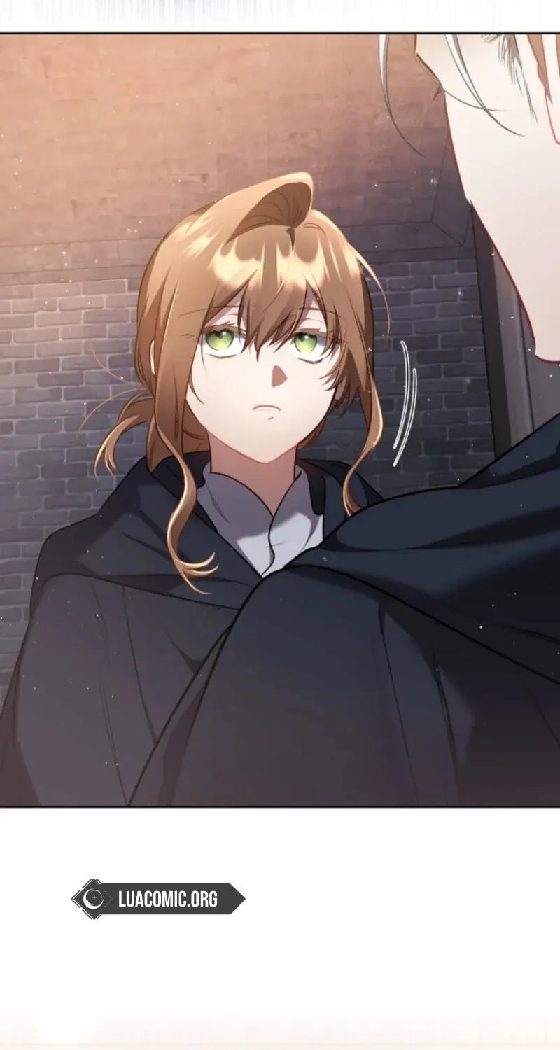 Don’t Worry, We Both Agreed to this Fraudulent Marriage chapter 75 page 37