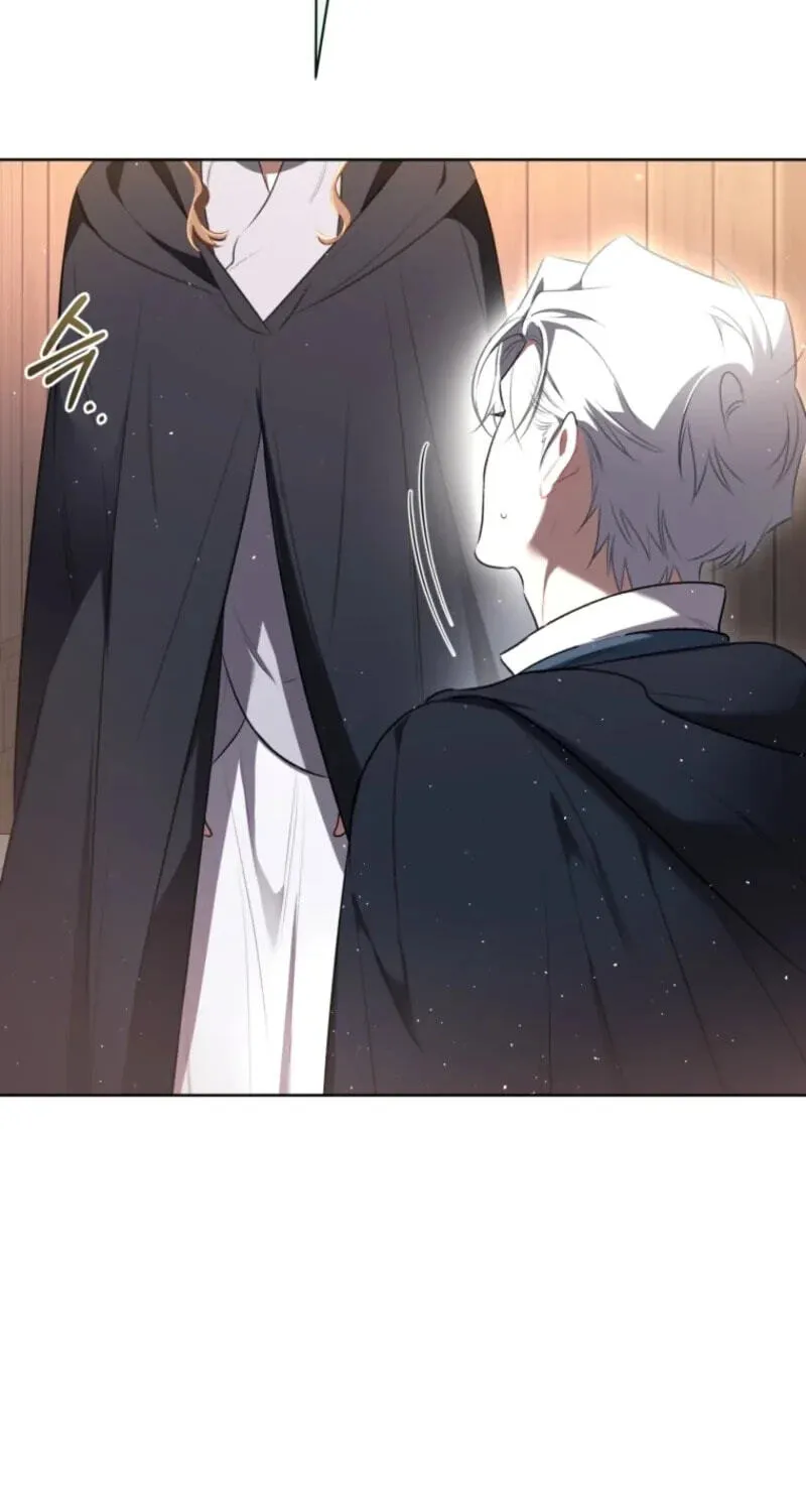 Don’t Worry, We Both Agreed to this Fraudulent Marriage chapter 75 page 41