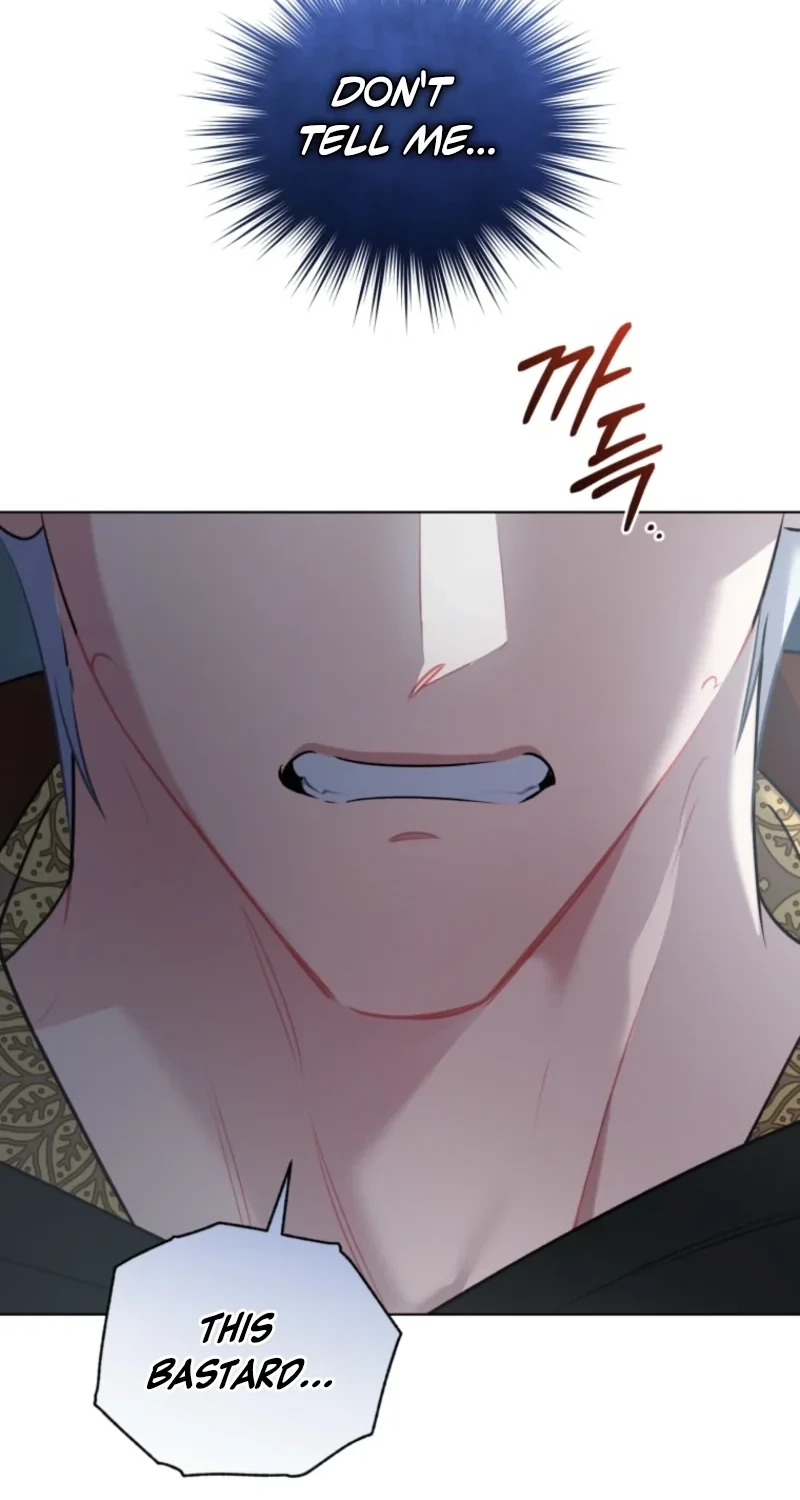 Don’t Worry, We Both Agreed to this Fraudulent Marriage chapter 79 page 66