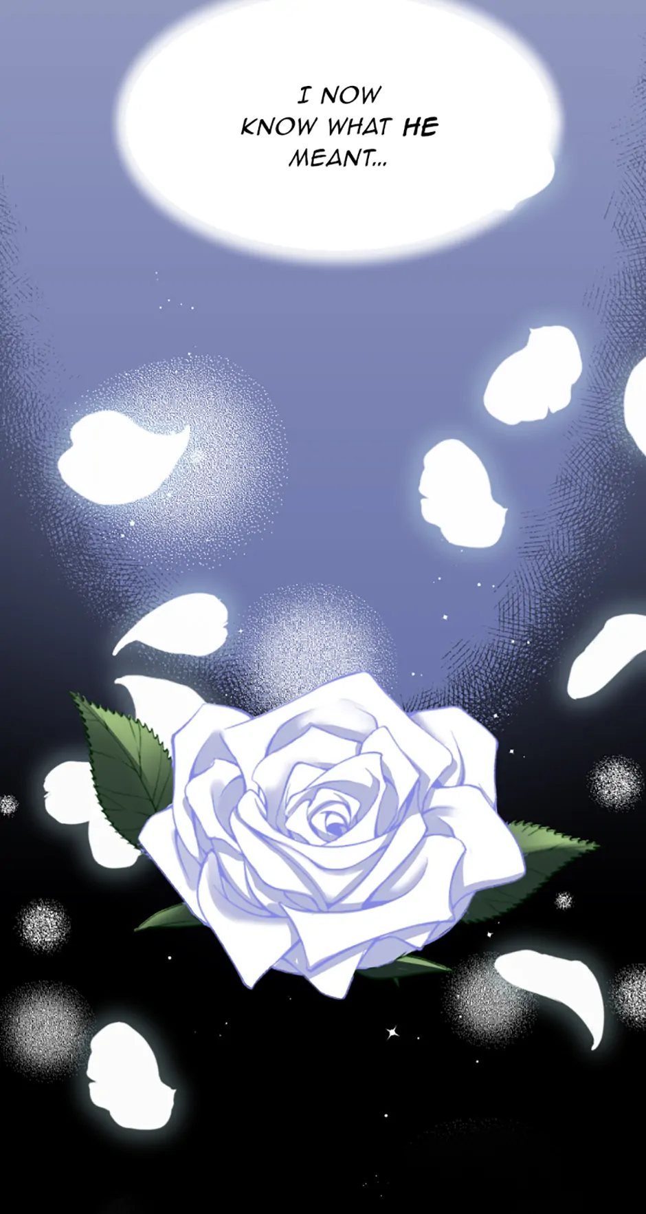Lady of Iron Wall chapter 2 page 29