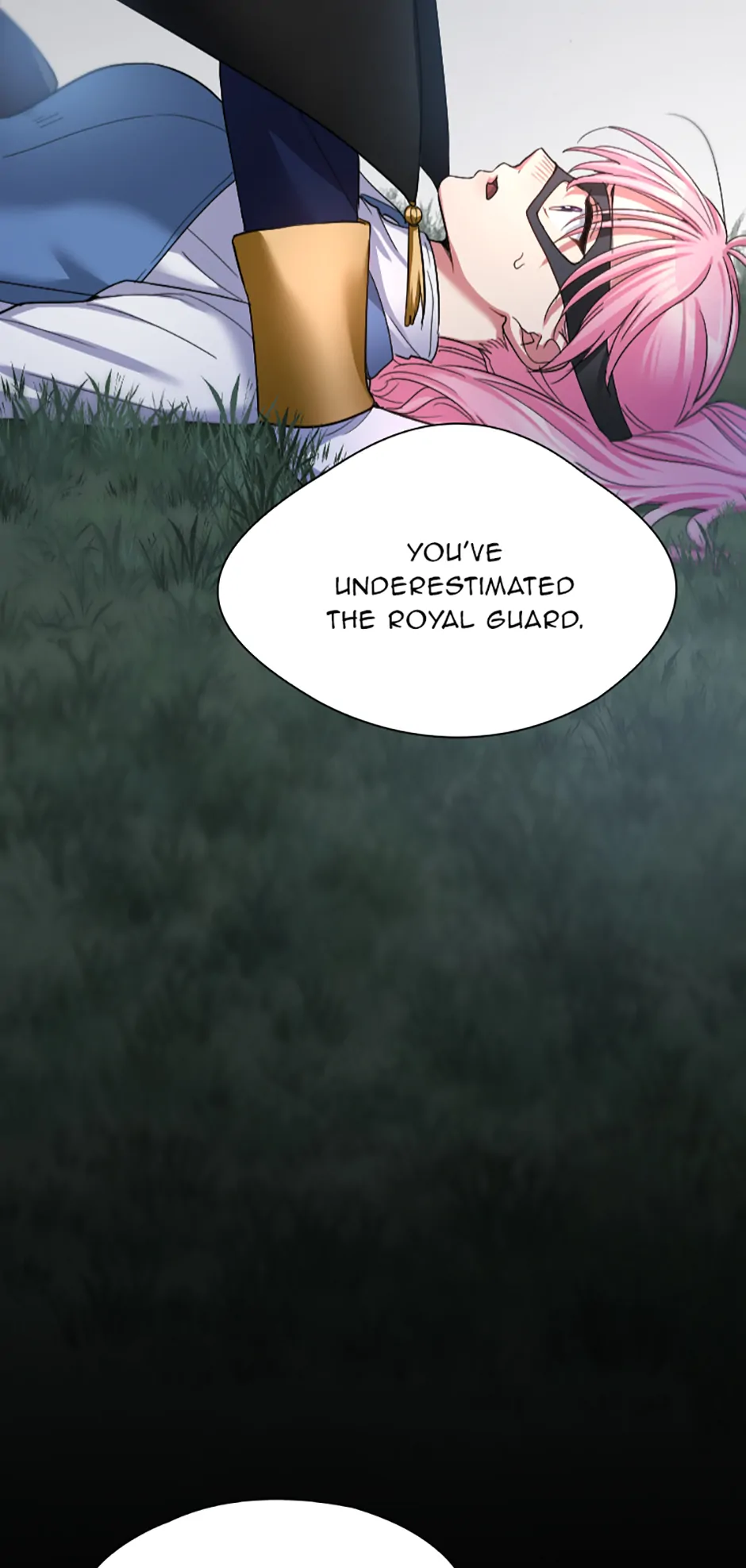 Lady of Iron Wall chapter 25 page 3