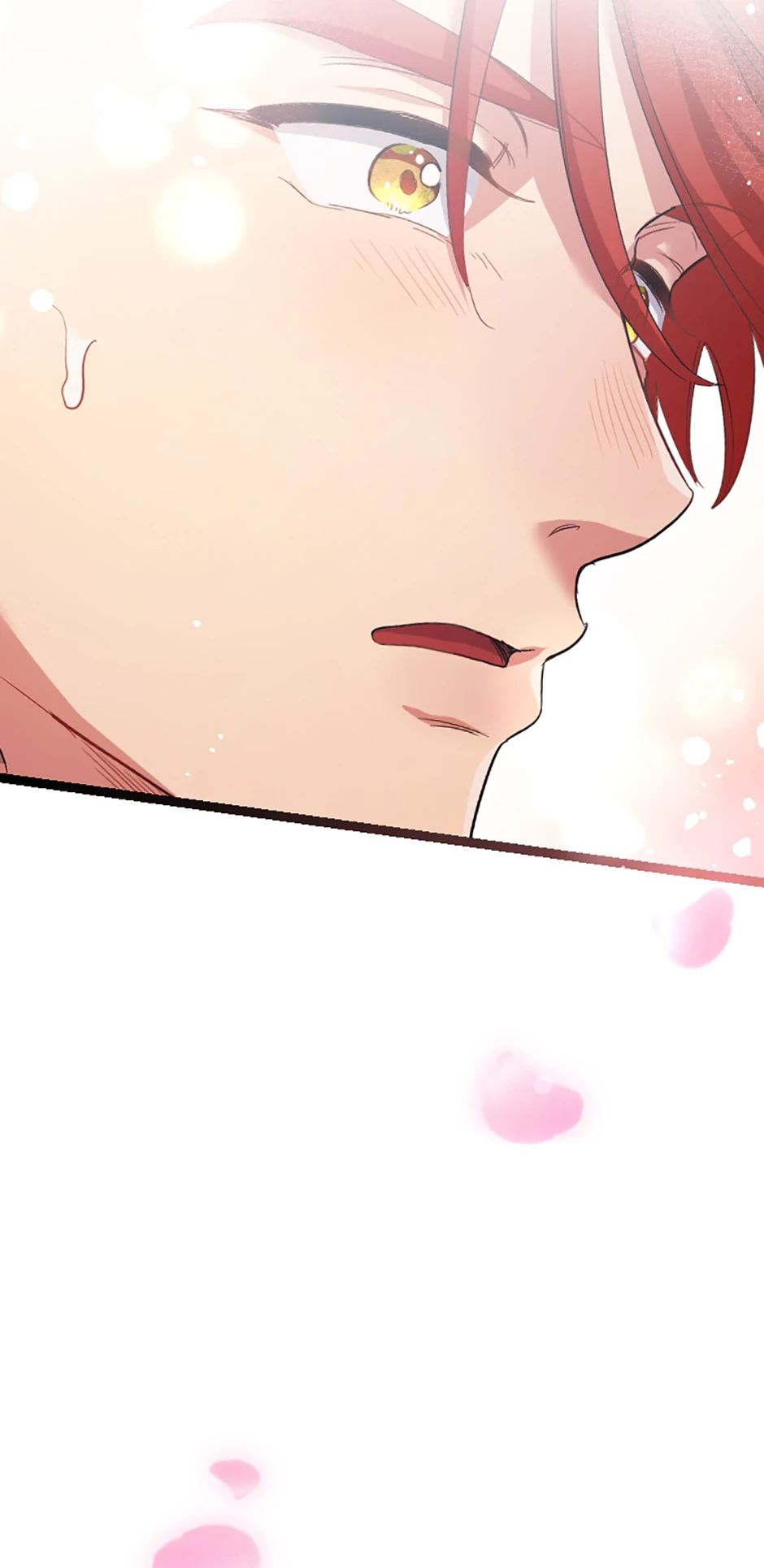 Lady of Iron Wall chapter 26 page 91