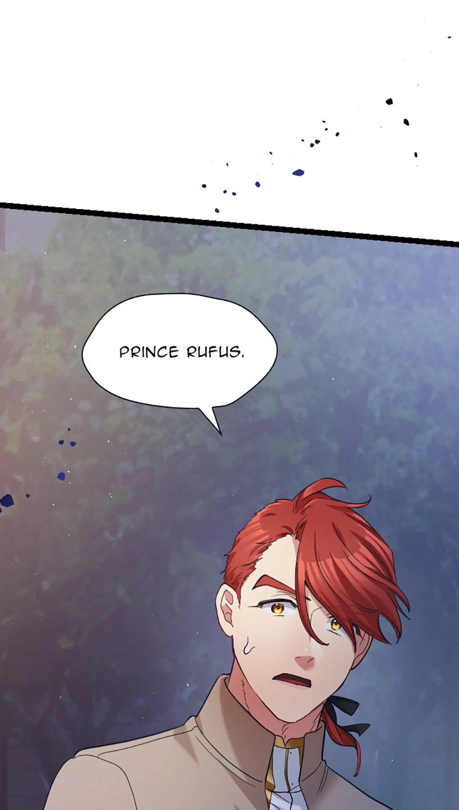 Lady of Iron Wall chapter 27 page 82