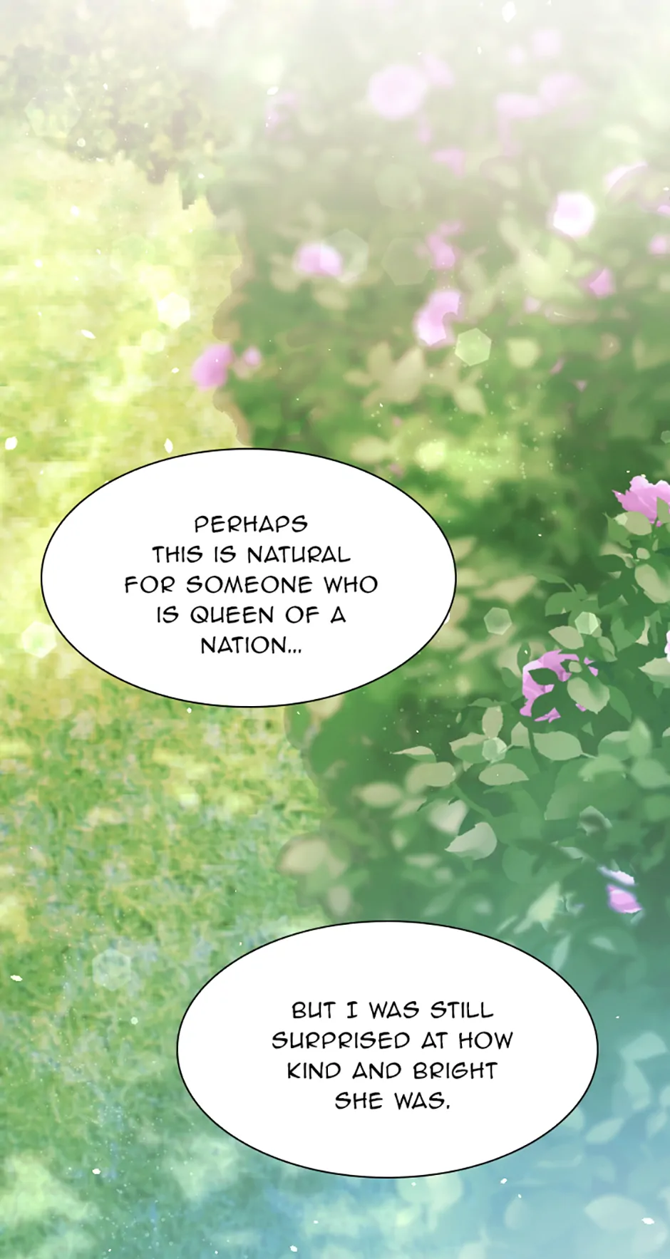 Lady of Iron Wall chapter 30 page 56
