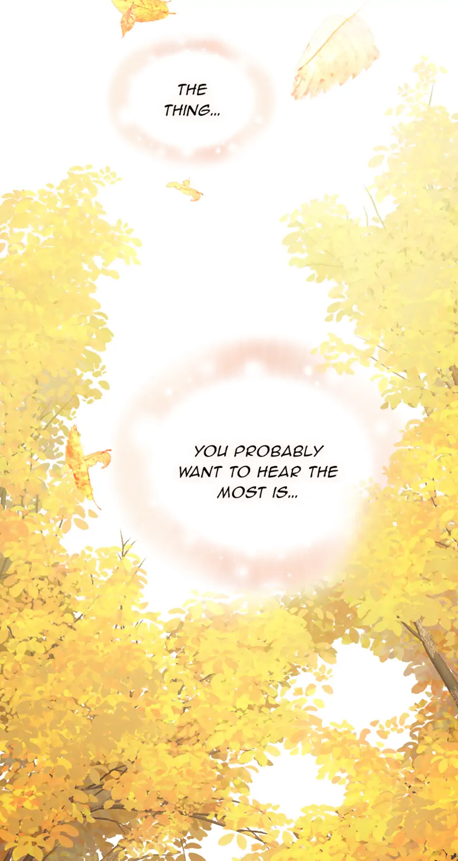 Lady of Iron Wall chapter 42 page 19