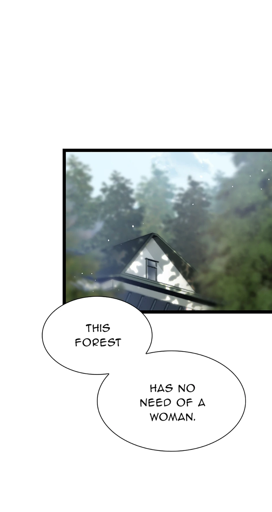 Lady of Iron Wall chapter 45 page 8