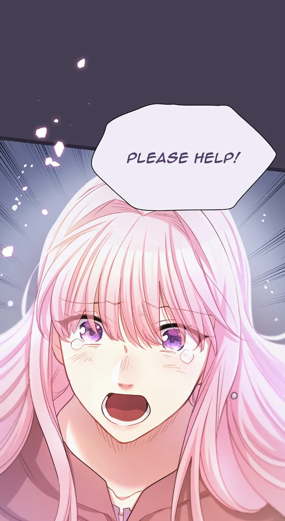 Lady of Iron Wall chapter 46 page 47