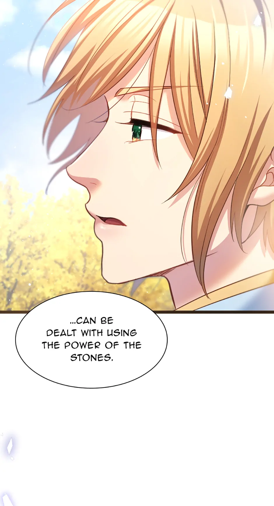 Lady of Iron Wall chapter 55 page 66