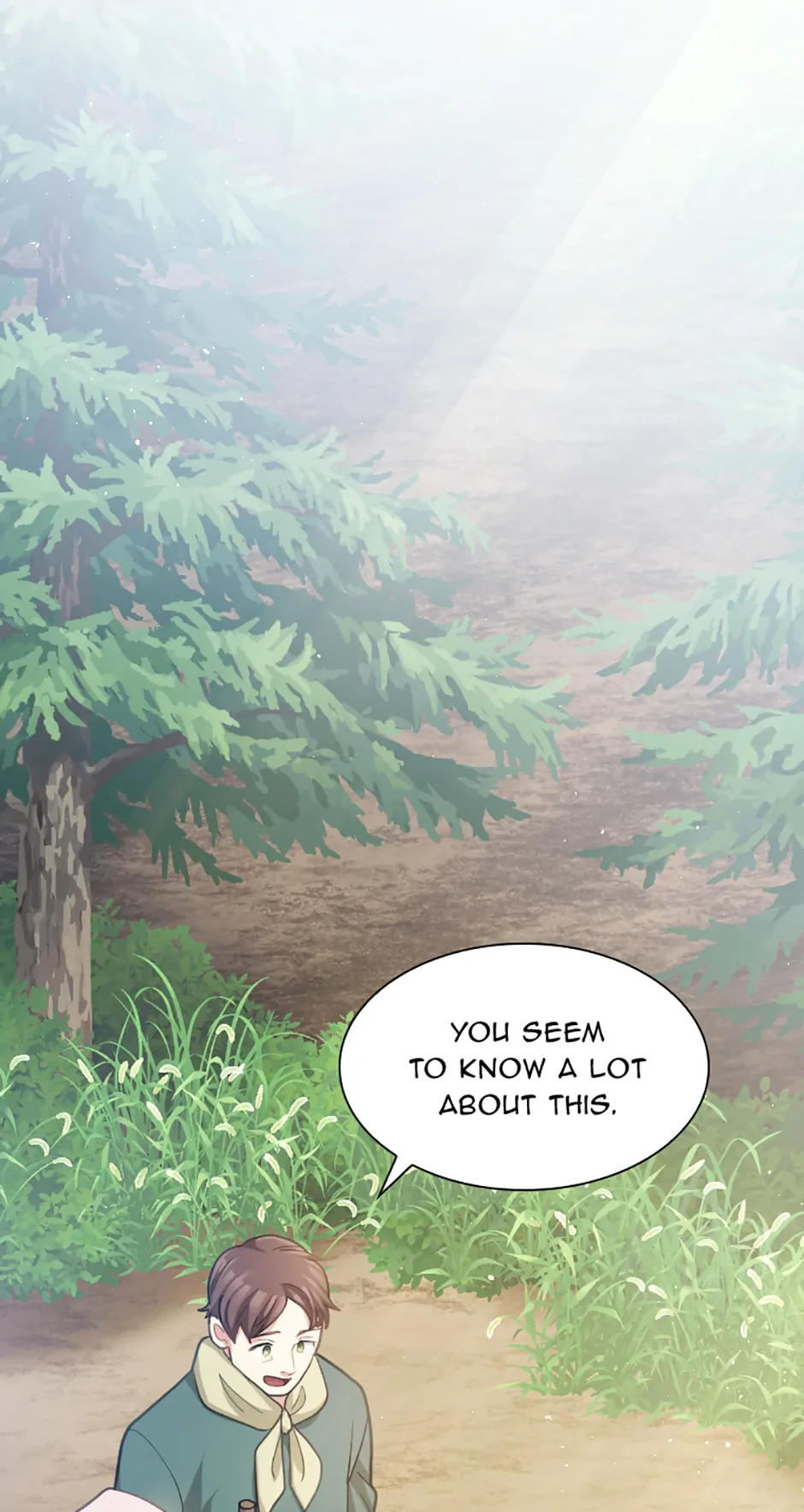 Lady of Iron Wall chapter 57 page 13