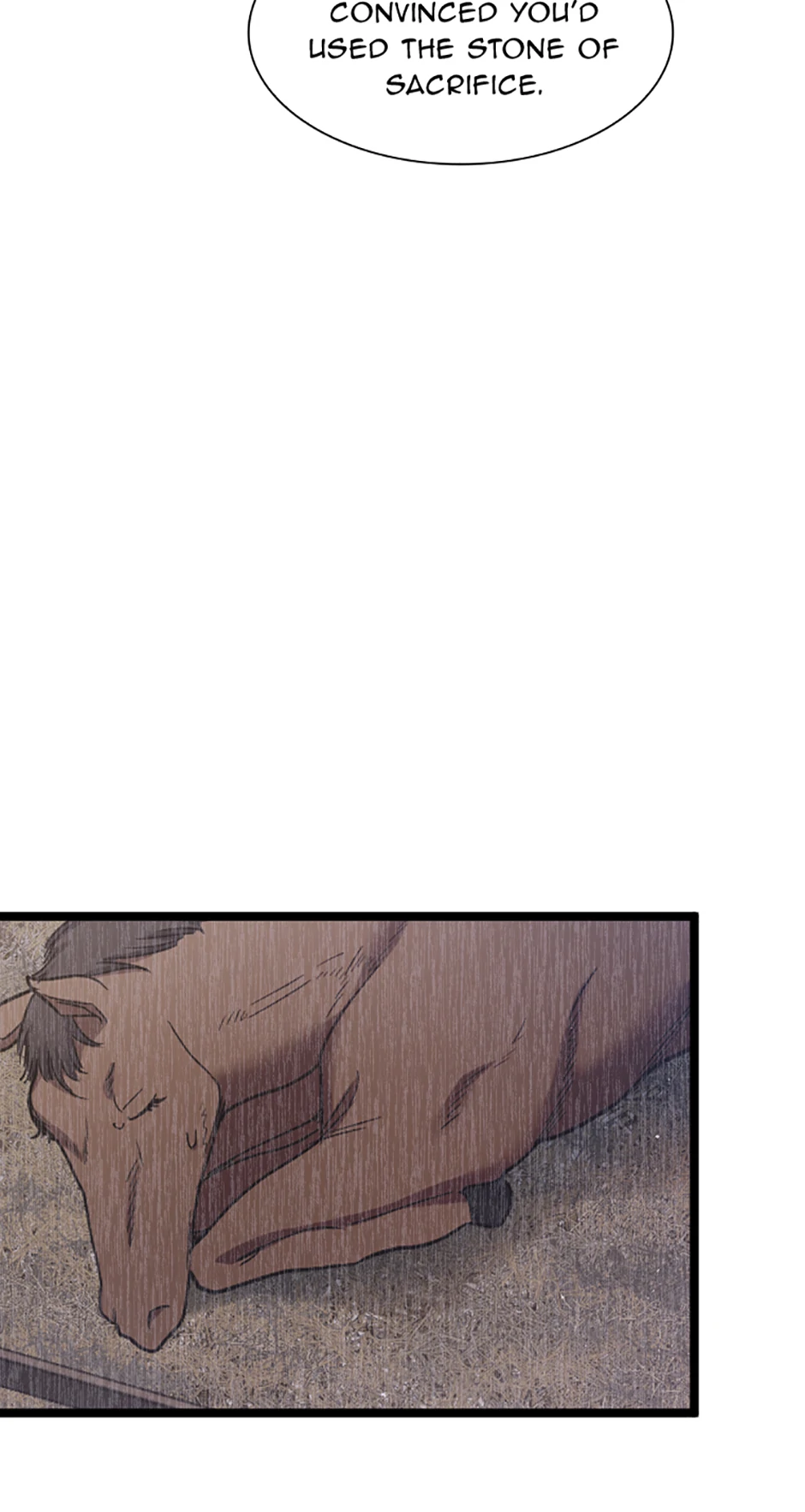Lady of Iron Wall chapter 58 page 14