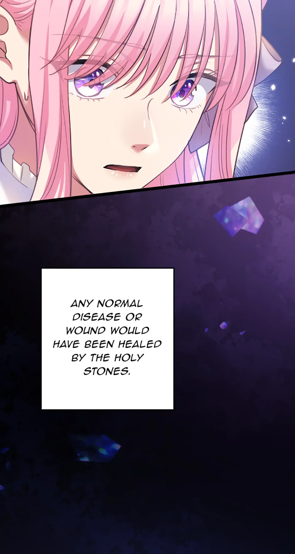Lady of Iron Wall chapter 67 page 46